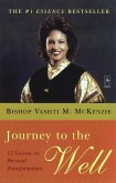 Journey to the Well (eBook, ePUB)
