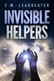 Invisible Helpers (eBook, ePUB)