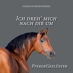 Ich dreh' mich nach dir um - Elsasser, Pit