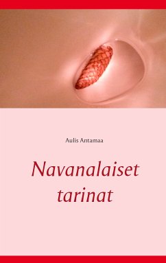 Navanalaiset tarinat (eBook, ePUB)