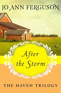 Cover After the Storm (eBook, ePUB)