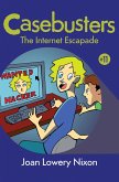 The Internet Escapade (eBook, ePUB)