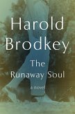 The Runaway Soul (eBook, ePUB)