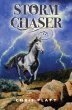Storm Chaser (eBook, ePUB) - Bild 1