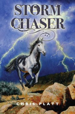 Storm Chaser (eBook, ePUB) Cover Storm Chaser (eBook, ePUB)