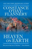 Heaven on Earth (eBook, ePUB)