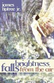 Brightness Falls from the Air (eBook, ePUB) Brightness Falls from the Air (eBook, ePUB)