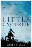 Little Cyclone (eBook, ePUB)