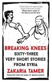 Breaking Knees (eBook, ePUB)