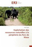 Exploitation des ressources naturelles à la périphérie du Parc de Waza
