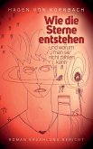 Wie die Sterne entstehen (eBook, ePUB)