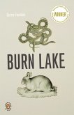 Burn Lake (eBook, ePUB)