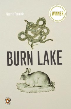 Burn Lake (eBook, ePUB) - Fountain, Carrie