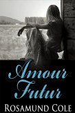 Amour Futur (eBook, ePUB)
