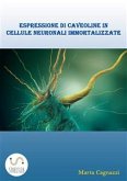 Espressione di caveoline in cellule neuronali immortalizzate (eBook, PDF)