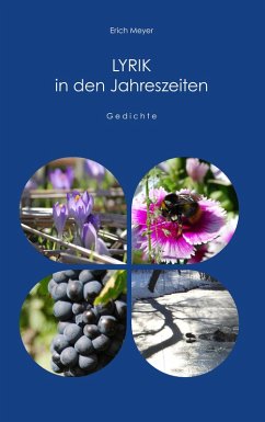 Lyrik in den Jahreszeiten (eBook, ePUB) - Meyer, Erich