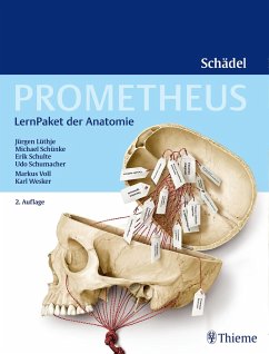 PROMETHEUS LernPaket Anatomie Schädel - Lüthje, Jürgen;Schulte, Erik;Schünke, Michael