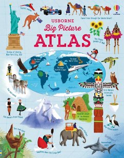 Big Picture Atlas - Bone, Emily