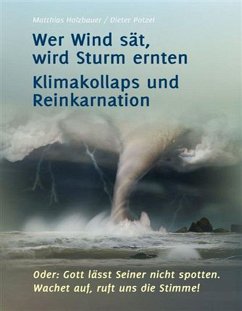 Wer Wind sät, wird Sturm ernten (eBook, ePUB) - Potzel, Dieter; Holzbauer, Matthias