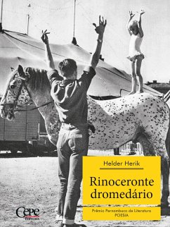 Cover Rinoceronte dromedário - 2º Prêmio Pernambuco de Literatura (eBook, ePUB)