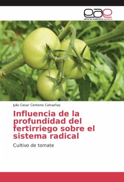 Influencia de la profundidad del fertirriego sobre el sistema radical - Centeno Cahueñas, Julio Cesar