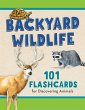 Backyard Wildlife - Bild 1