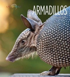 Armadillos - Gish, Melissa