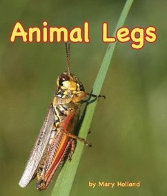 Animal Legs - Holland, Mary