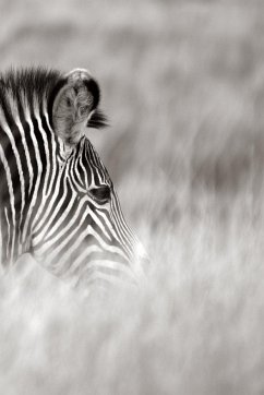 Alive! zebra stripes - Black and white - Photo Art Notebooks (6 x 9 series) - Jansson, Eva-Lotta
