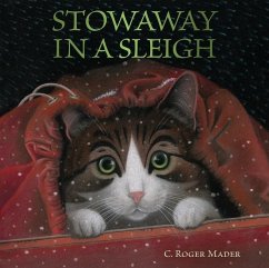 Stowaway in a Sleigh - Mader, Roger