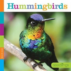 Hummingbirds - Arnold, Quinn M.