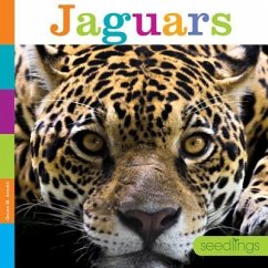 Jaguars - Arnold, Quinn M.