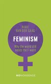 Nononsense Feminism: Alive and Kicking