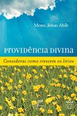 Providência divina (eBook, ePUB)