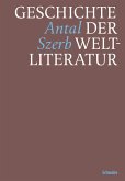 Geschichte der Weltliteratur (eBook, PDF)
