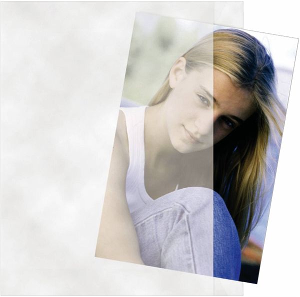 1x500 Daiber Pergaminhüllen 24x30cm 1x500 Daiber Pergaminhüllen 24x30cm