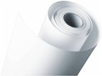Epson Photo Paper Gloss 250 g 61 cm (24 ) x 30,5 m S 041893