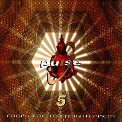 Cover Pulse Vol.5