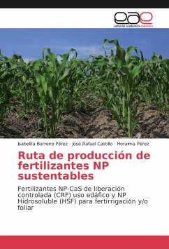 Ruta de producción de fertilizantes NP sustentables - Barreiro Pérez, Isabelita;Castillo, José Rafael;Pérez, Horaima