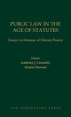 Public Law in the Age of Statutes