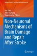 Non-Neuronal Mechanisms of Brain Damage... - Bild 1