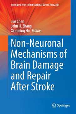 Non-Neuronal Mechanisms of Brain Damage and Repair After Stroke