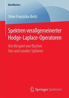 Spektren verallgemeinerter Hodge-Laplace-Operatoren - Beitz, Stine Franziska