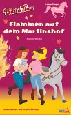 Bibi & Tina - Flammen auf dem Martinshof (eBook, ePUB)