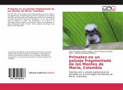 Primates en un paisaje fragmentado de los Montes de María, Colombia
