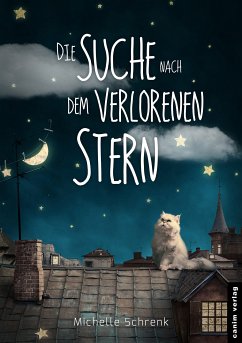 Die Suche nach dem verlorenen Stern (eBook, ePUB) - Schrenk, Michelle