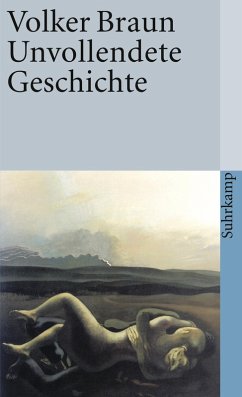Unvollendete Geschichte (eBook, ePUB) - Braun, Volker