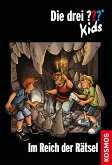 Im Reich der Rätsel / Die drei Fragezeichen-Kids Bd.13 (eBook, ePUB)