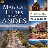 Magical Flutes From The Andes-Aconcagua