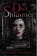 Dark Shimmer (eBook, ePUB) - Bild 1